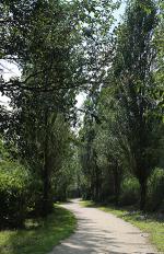 푸른 ‘한강숲’ 4만㎡ 조성… 한강 생태계복원